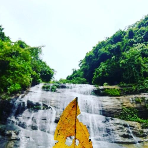 Photo #4177472