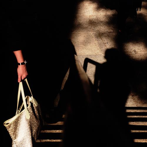 Photo #4178044