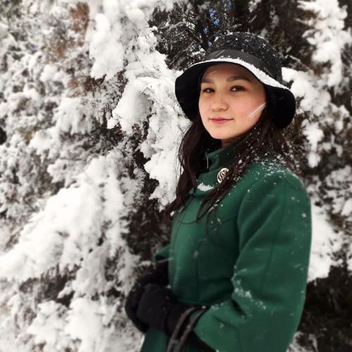 Photo #4178079