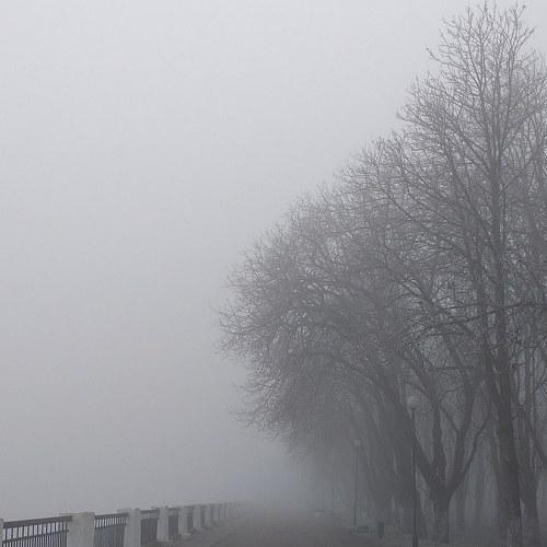 Photo #4178159