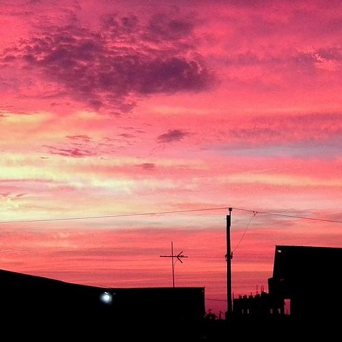Photo #4178174