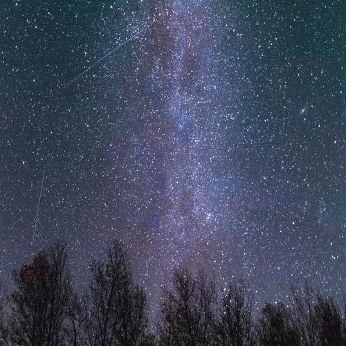 Photo #4178201