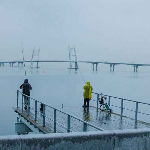 Photo #4178245