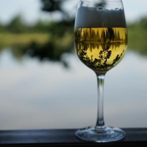 Photo #4178453