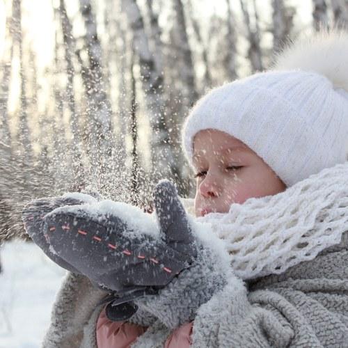 Photo #4178499