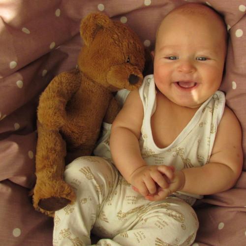 Photo #4178613