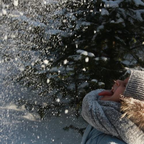 Photo #4178620