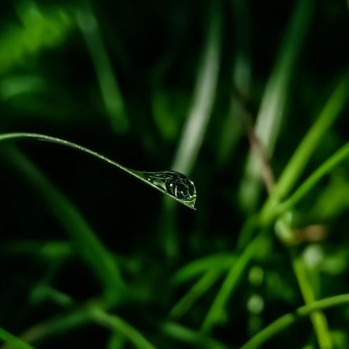 Photo #4178768