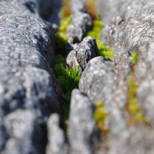 Photo #4178944