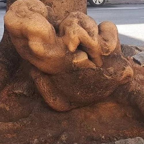 Photo #4179157