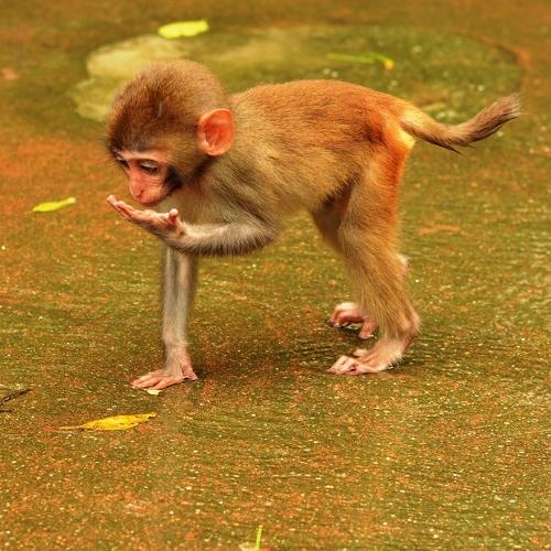 Photo #4179689