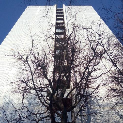 Photo #4179808