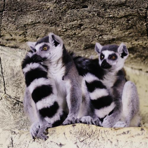 Photo #4180145