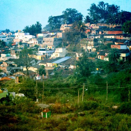 Photo #4181024