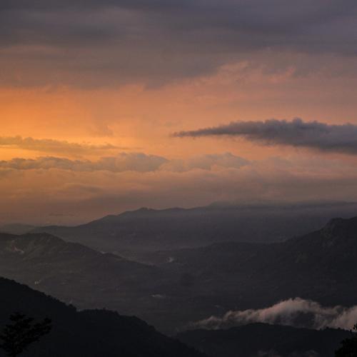 Photo #4181071