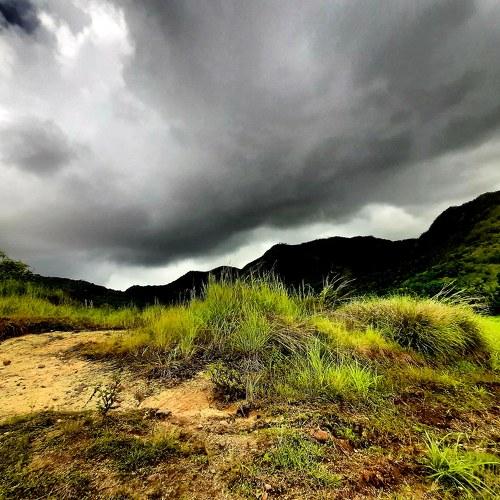 Photo #4181405