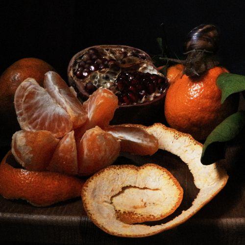 Photo #4182065