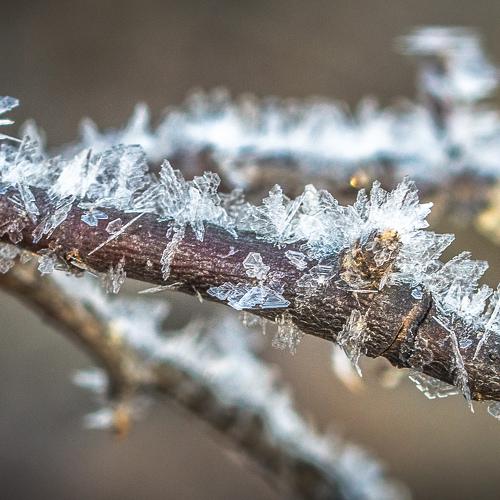 Photo #4182345