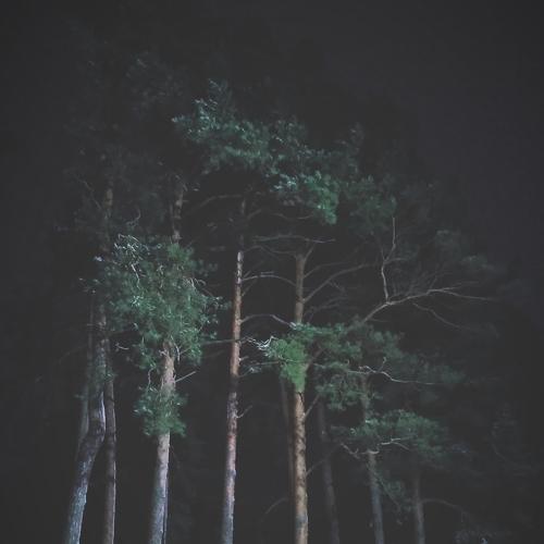 Photo #4182452