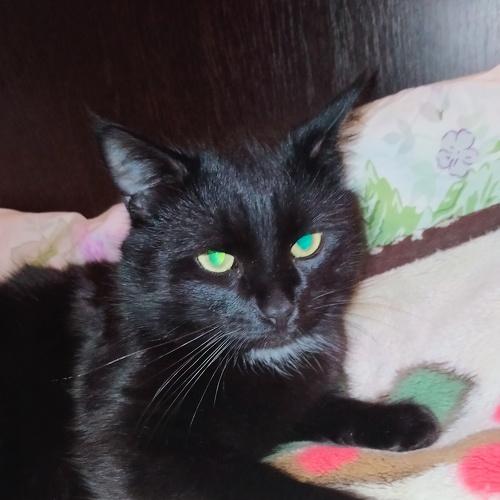 Photo #4182467