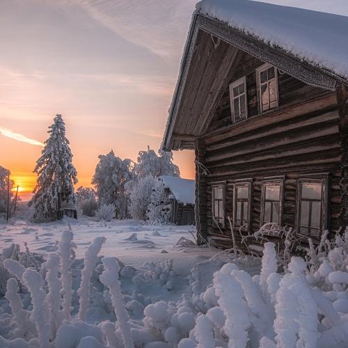 Photo #4182745