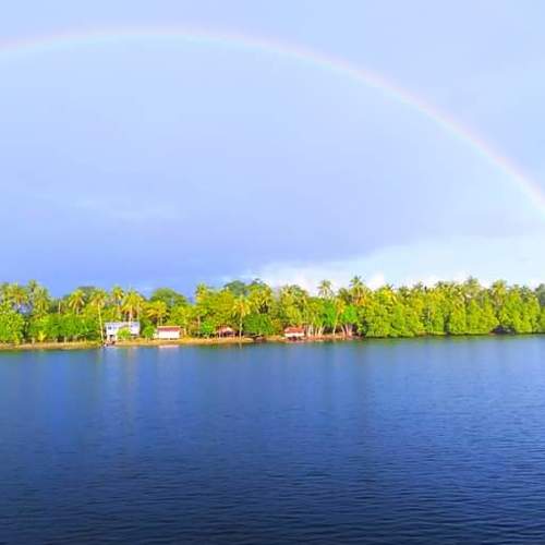 Photo #4183061