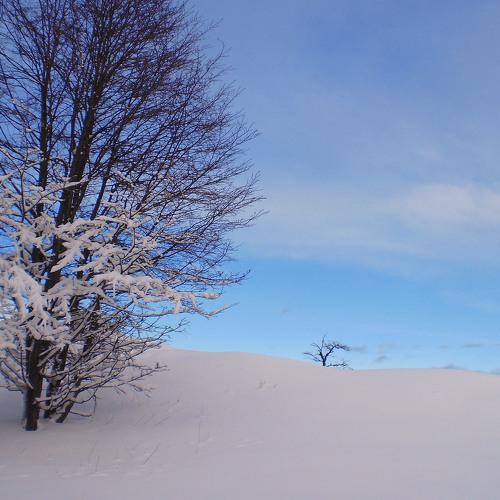 Photo #4183610