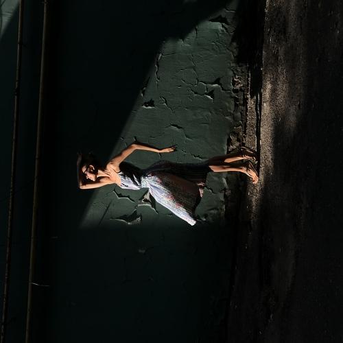 Photo #4183638