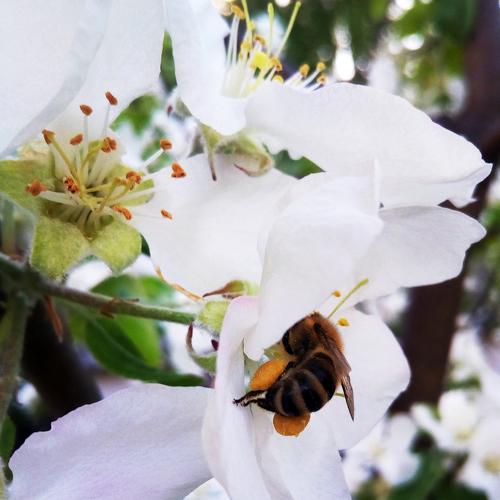 Photo #4183794