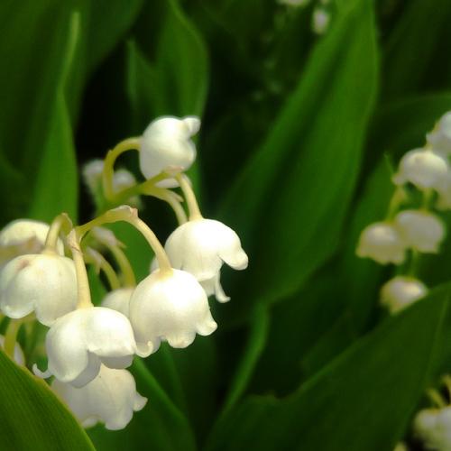 Photo #4183795