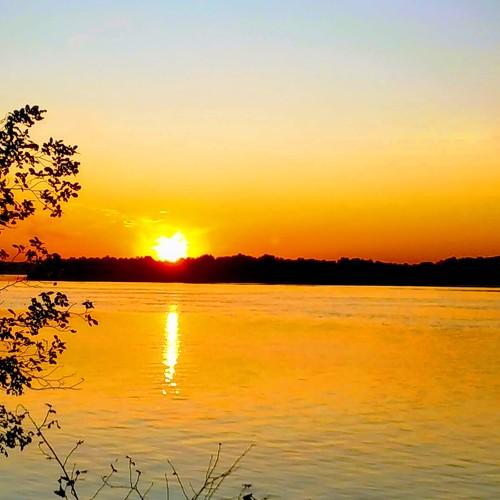 Photo #4184411