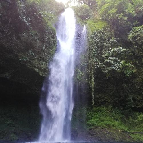 Photo #4184620