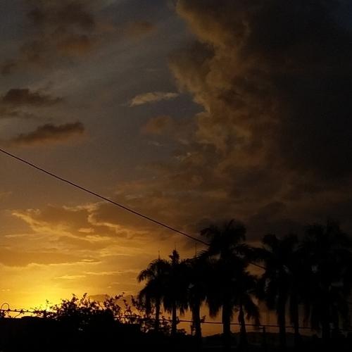 Photo #4184733