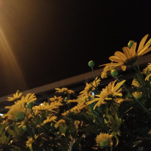 Photo #4185035