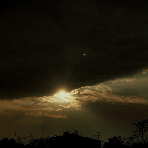Photo #4185318