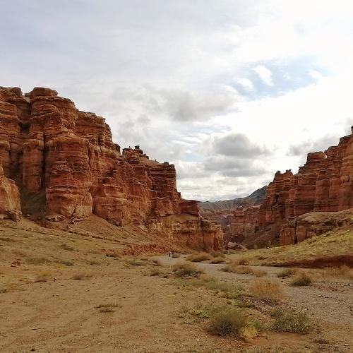 Photo #4185466