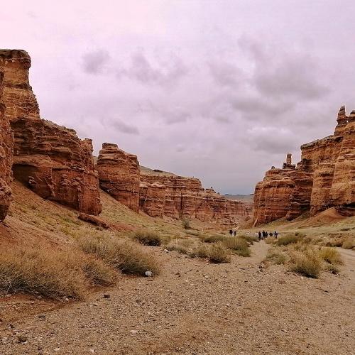 Photo #4185485