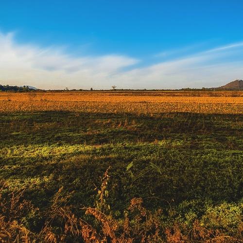 Photo #4185505