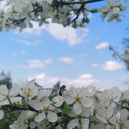 Photo #4185696