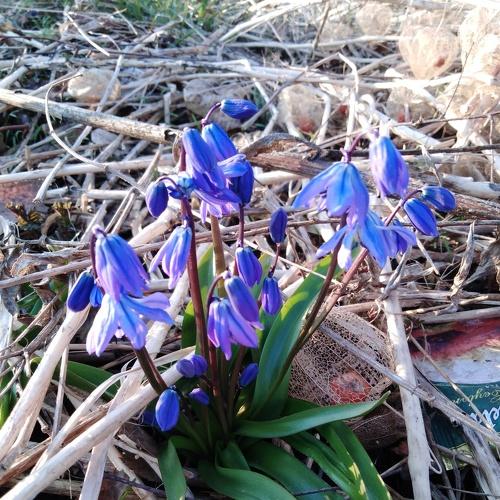 Photo #4185710