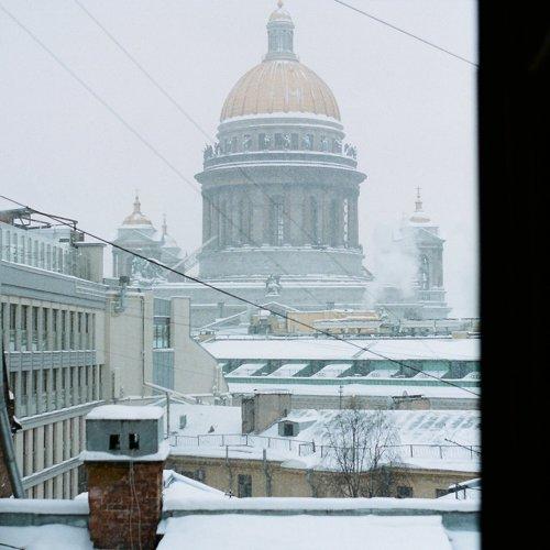 Photo #4185829
