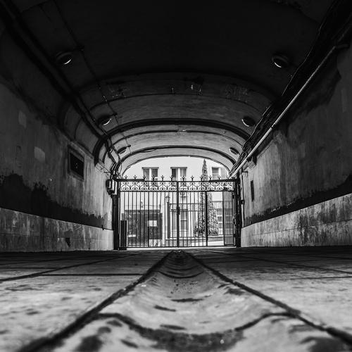 Фотография #4185928