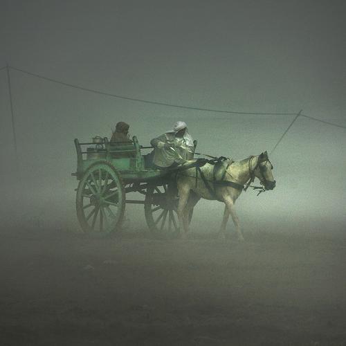 Photo #4186592