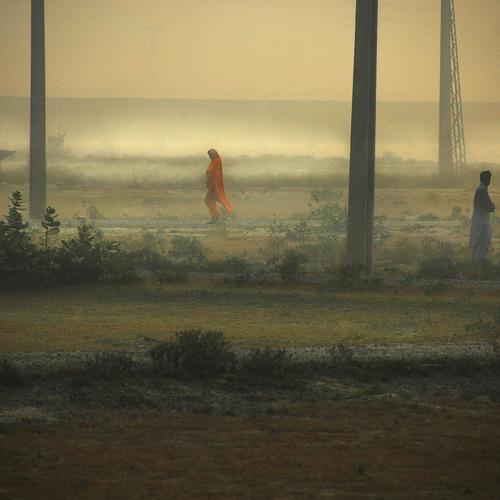 Photo #4186593