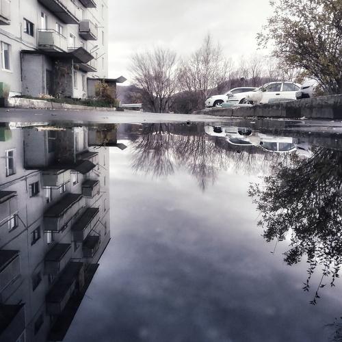 Photo #4186641