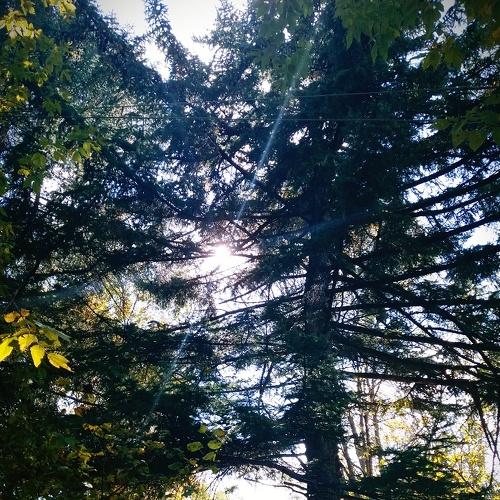 Photo #4186728