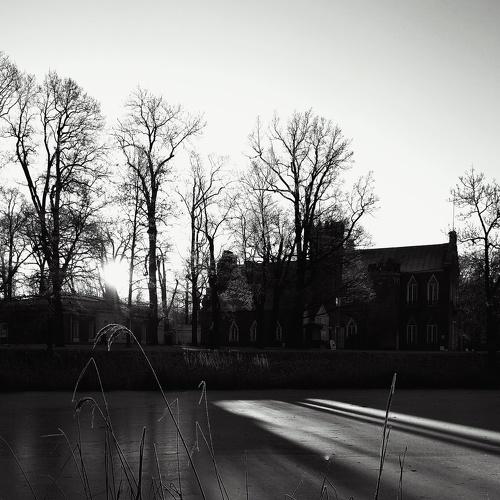 Cold Sun / Холодное солнце