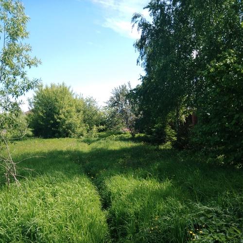 Photo #4187392