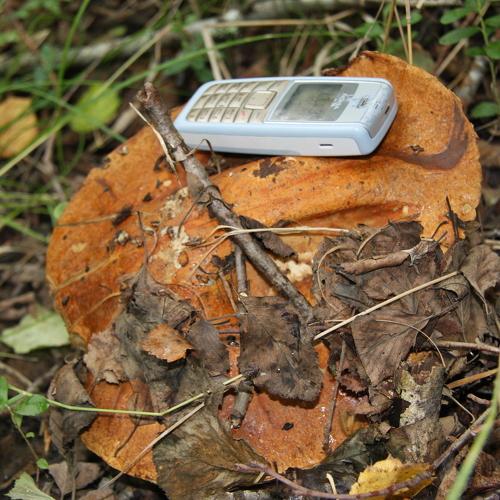 Photo #4187409