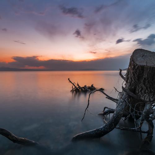 Фотография #4188022